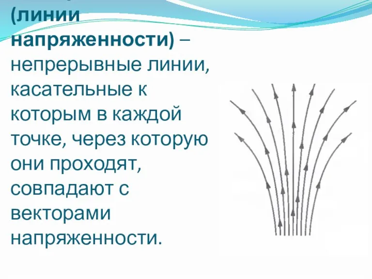 Силовые линии электрического поля (линии напряженности) – непрерывные линии, касательные к которым