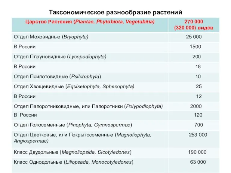 Таксономическое разнообразие растений