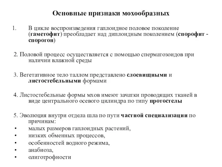 Основные признаки мохообразных В цикле воспроизведения гаплоидное половое поколение (гаметофит) преобладает над