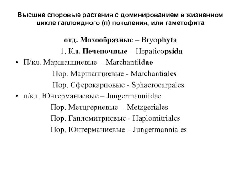 Высшие споровые растения с доминированием в жизненном цикле гаплоидного (п) поколения, или