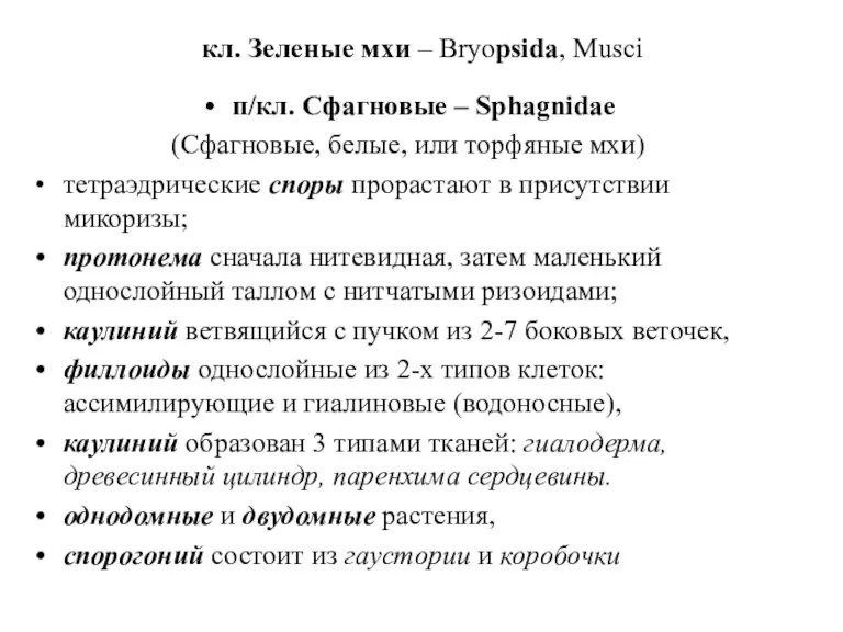 кл. Зеленые мхи – Bryopsida, Musci п/кл. Сфагновые – Sphagnidae (Сфагновые, белые,