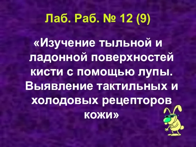 Лаб. Раб. № 12 (9) «Изучение тыльной и ладонной поверхностей кисти с