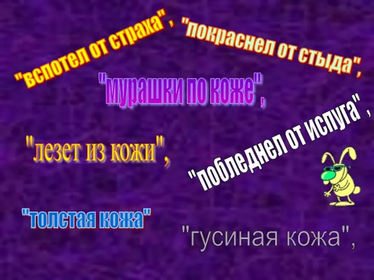 "покраснел от стыда", "вспотел от страха", "побледнел от испуга", "гусиная кожа", "мурашки