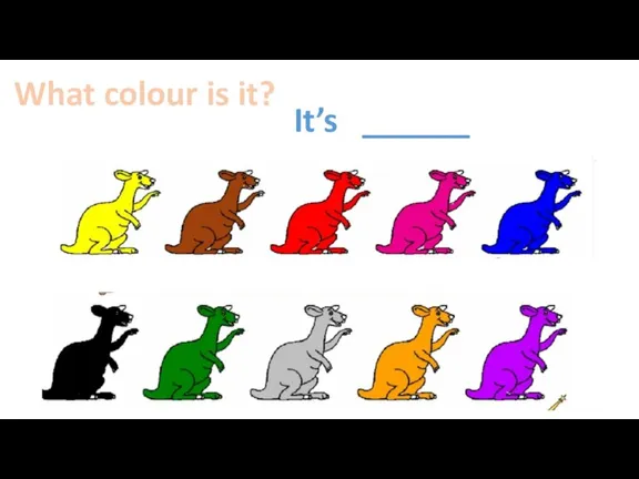 What colour is it? It’s ______