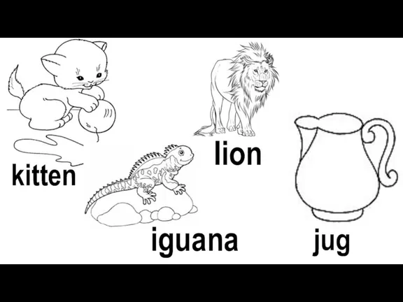 Iion iguana jug kitten