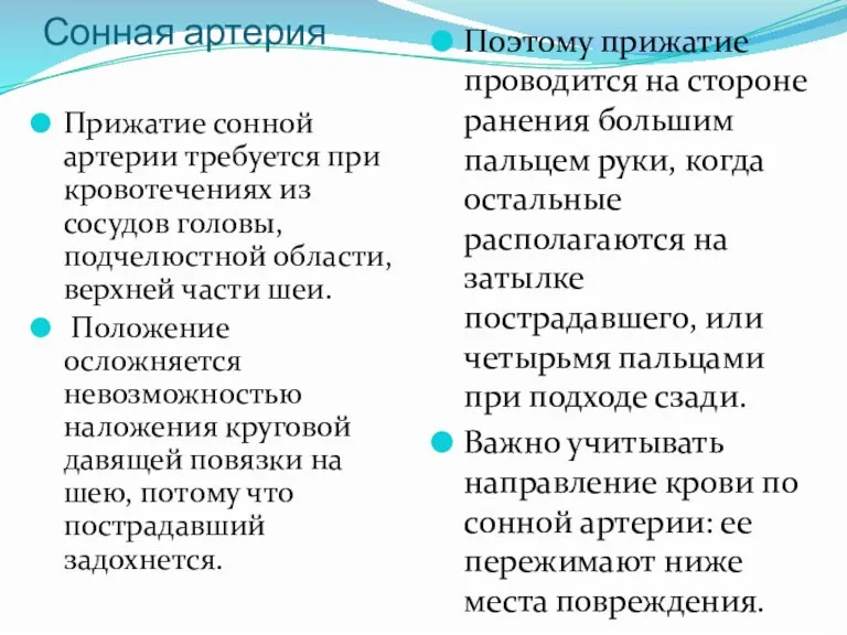 Сонная артерия Прижатие сонной артерии требуется при кровотечениях из сосудов головы, подчелюстной