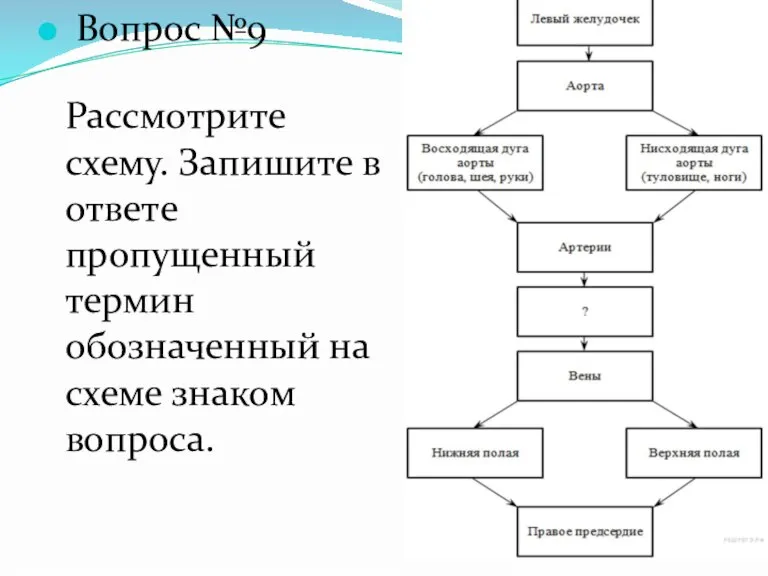 Вопрос №9 Рассмотрите схему. Запишите в отве­те пропущенный термин обозначенный на схеме знаком вопроса.