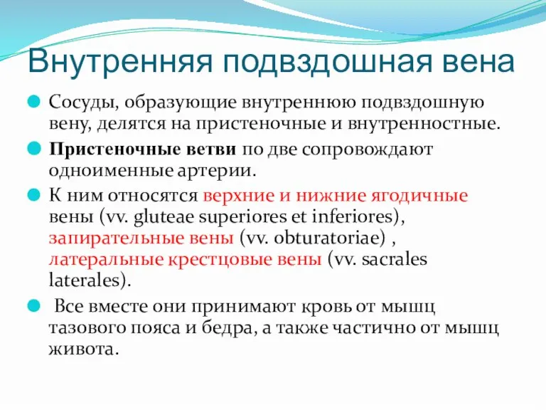 Внутренняя подвздошная вена Сосуды, образующие внутреннюю подвздошную вену, делятся на пристеночные и