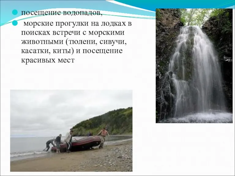 посещение водопадов, морские прогулки на лодках в поисках встречи с морскими животными