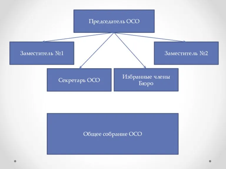 Председатель ОСО Заместитель №2 Заместитель №1 Секретарь ОСО Избранные члены Бюро Общее собрание ОСО