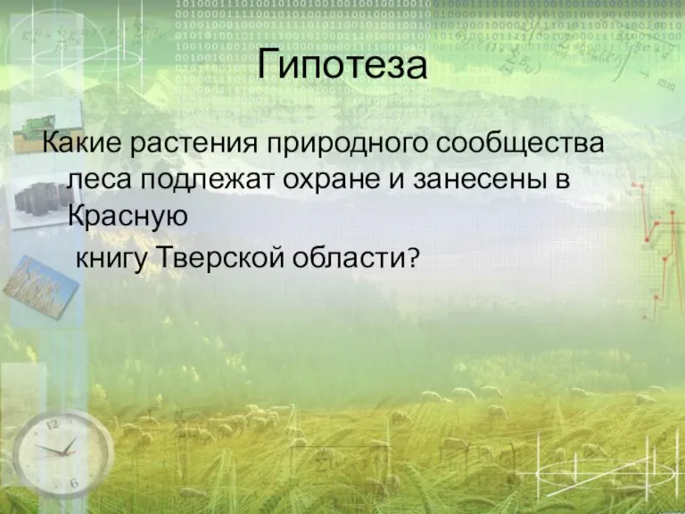 Гипотеза Какие растения природного сообщества леса подлежат охране и занесены в Красную книгу Тверской области?