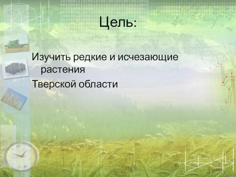 Цель: Изучить редкие и исчезающие растения Тверской области