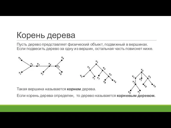 Корень дерева Пусть дерево представляет физический объект, подвижный в вершинах. Если подвесить