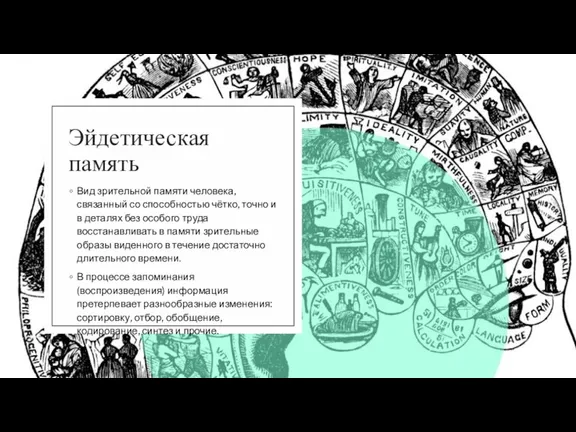 Эйдетическая память Вид зрительной памяти человека, связанный со способностью чётко, точно и