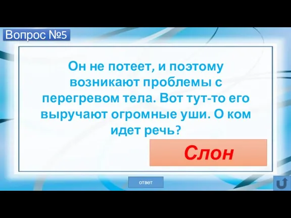 Вопрос №5 Он не потеет, и поэтому возникают проблемы с перегревом тела.