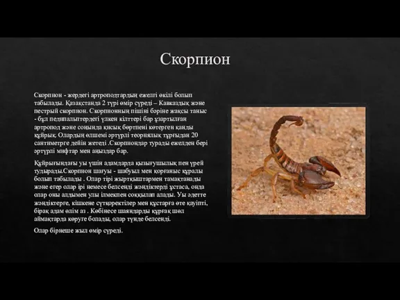 Скорпион Скорпион - жердегі артроподтардың ежелгі өкілі болып табылады. Қазақстанда 2 түрі