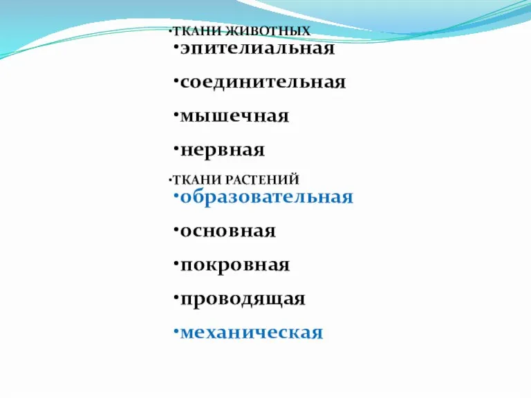 ТКАНИ ЖИВОТНЫХ эпителиальная соединительная мышечная нервная ТКАНИ РАСТЕНИЙ образовательная основная покровная проводящая механическая