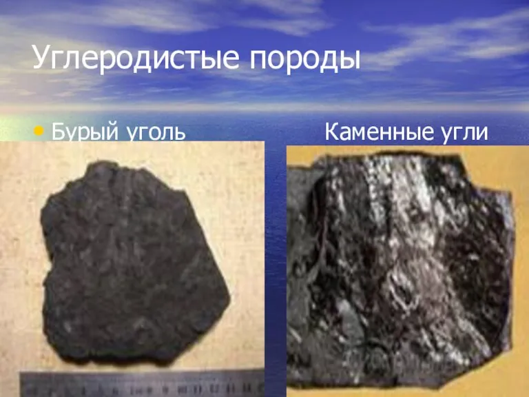 Углеродистые породы Бурый уголь Каменные угли