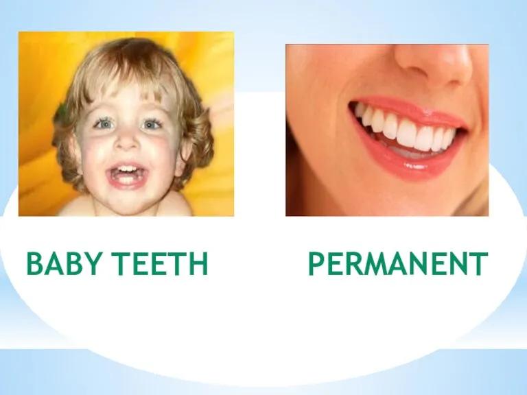 BABY TEETH PERMANENT