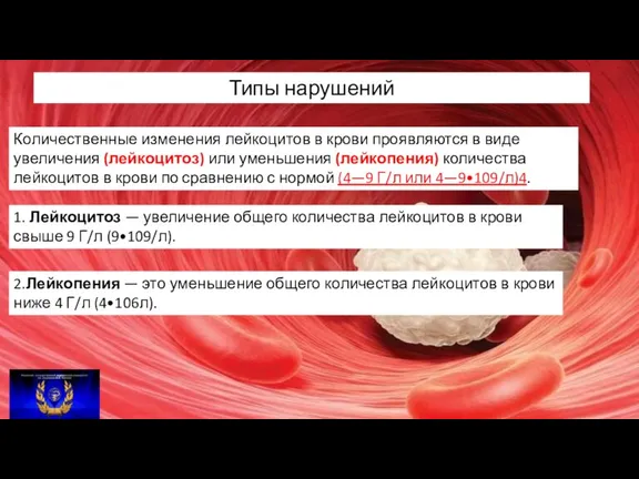 Типы нарушений Количественные изменения лейкоцитов в крови проявляются в виде увеличения (лейкоцитоз)