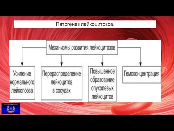 Патогенез лейкоцитозов.