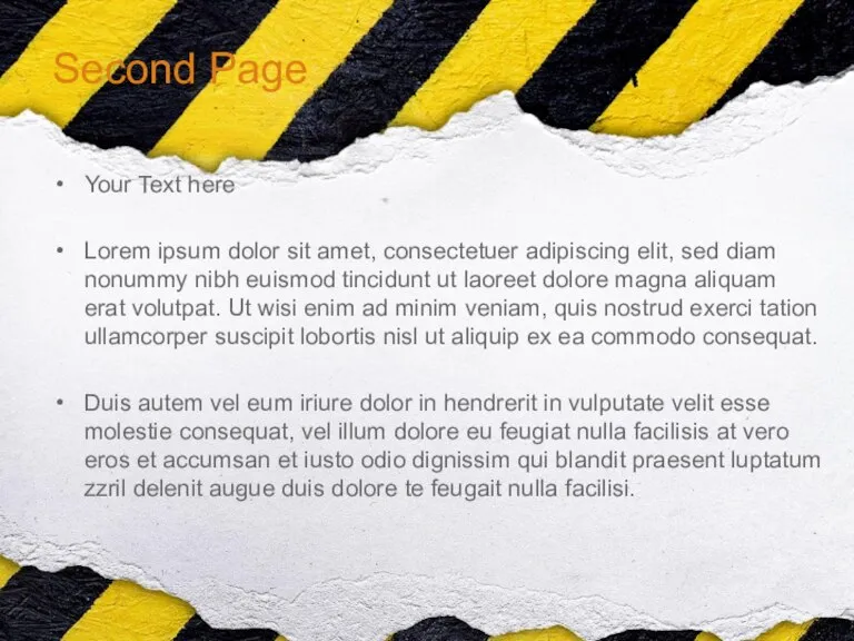 Second Page Your Text here Lorem ipsum dolor sit amet, consectetuer adipiscing