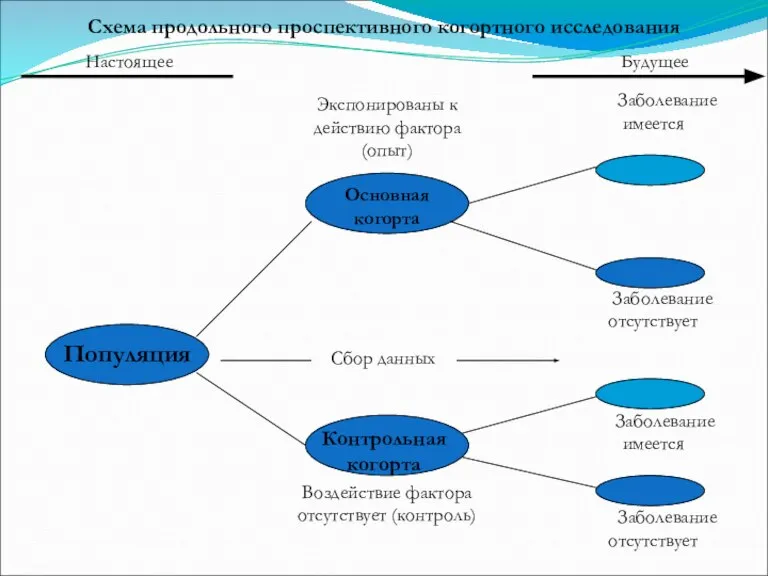 Настоящее Будущее Экспонированы к действию фактора (опыт) Заболевание имеется Основная когорта Популяция