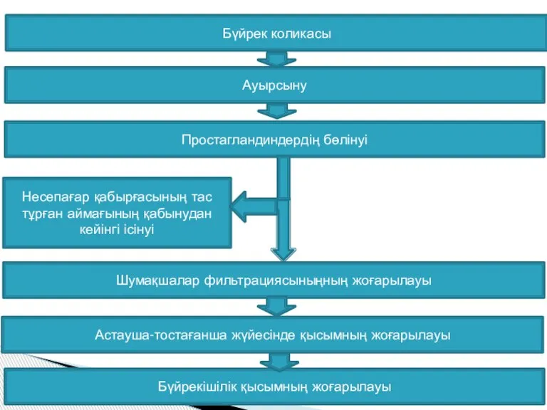 Бүйрек коликасы Ауырсыну Простагландиндердің бөлінуі Несепағар қабырғасының тас тұрған аймағының қабынудан кейінгі