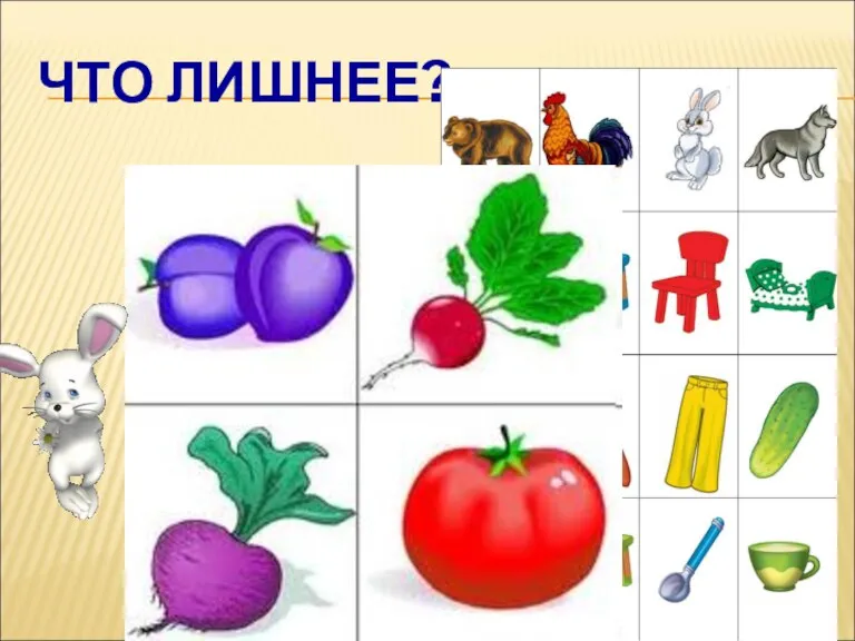 ЧТО ЛИШНЕЕ?