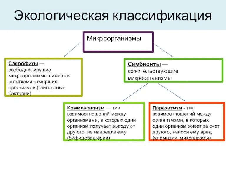 Экологическая классификация Микроорганизмы Сапрофиты — свободноживущие микроорганизмы питаются остатками отмерших организмов (гнилостные