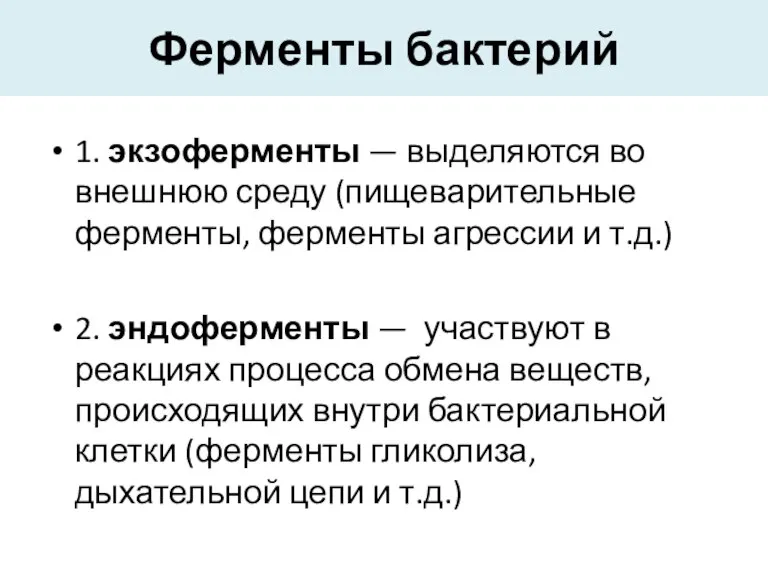 Ферменты бактерий 1. экзоферменты — выделяются во внешнюю среду (пищеварительные ферменты, ферменты