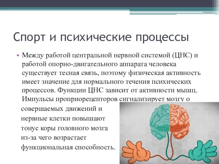 Спорт и психические процессы Между работой центральной нервной системой (ЦНС) и работой