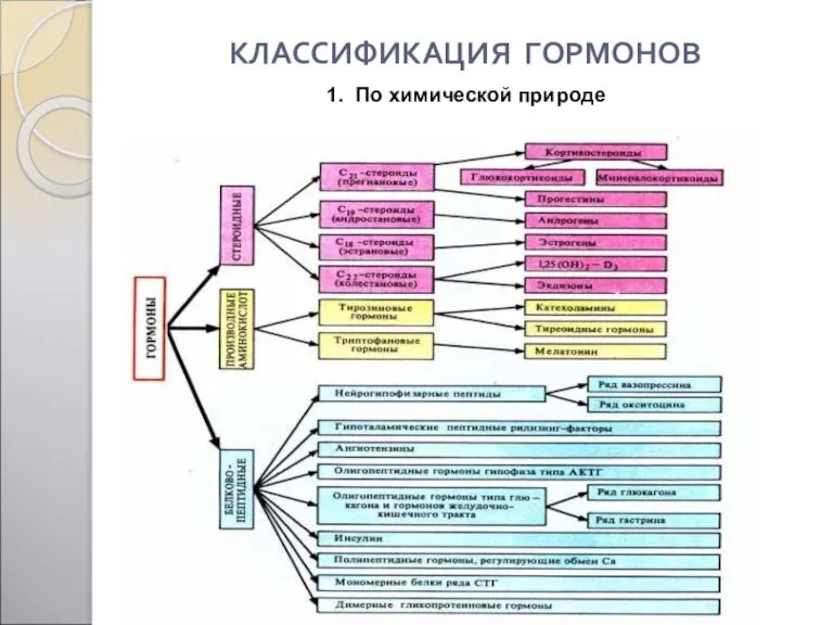 КЛАССИФИКАЦИЯ ГОРМОНОВ 1. По химической природе