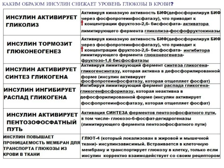 КАКИМ ОБРАЗОМ ИНСУЛИН СНИЖАЕТ УРОВЕНЬ ГЛЮКОЗЫ В КРОВИ?