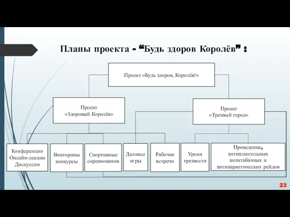 Планы проекта - “Будь здоров Королёв” : Проект «Будь здоров, Королёв!» Проект