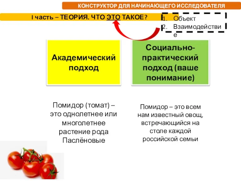 КОНСТРУКТОР ДЛЯ НАЧИНАЮЩЕГО ИССЛЕДОВАТЕЛЯ Академический подход Помидор (томат) – это однолетнее или