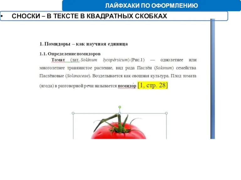 ЛАЙФХАКИ ПО ОФОРМЛЕНИЮ СНОСКИ – В ТЕКСТЕ В КВАДРАТНЫХ СКОБКАХ