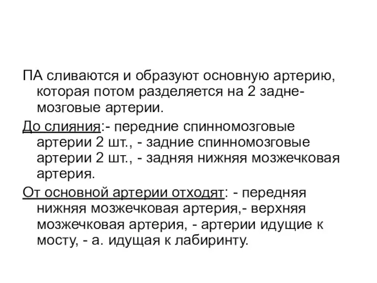 ПА сливаются и образуют основную артерию, которая потом разделяется на 2 задне-мозговые