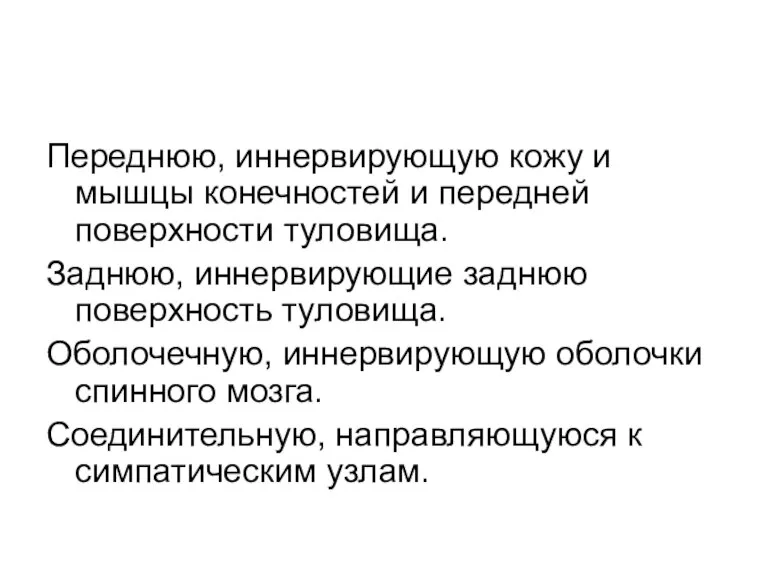 Переднюю, иннервирующую кожу и мышцы конечностей и передней поверхности туловища. Заднюю, иннервирующие