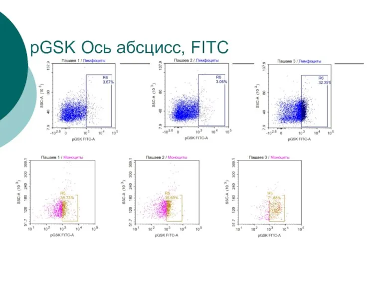 pGSK Ось абсцисс, FITC