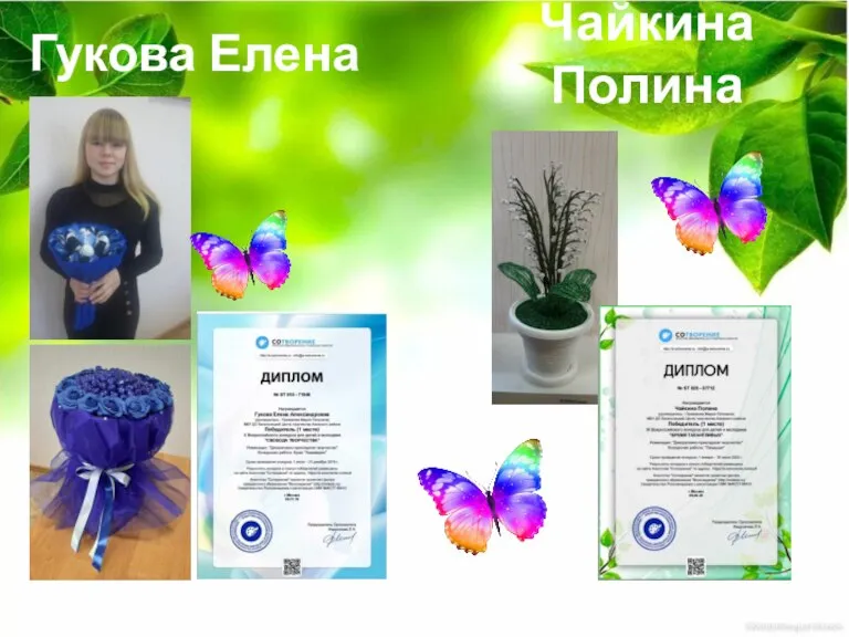 Чайкина Полина Гукова Елена