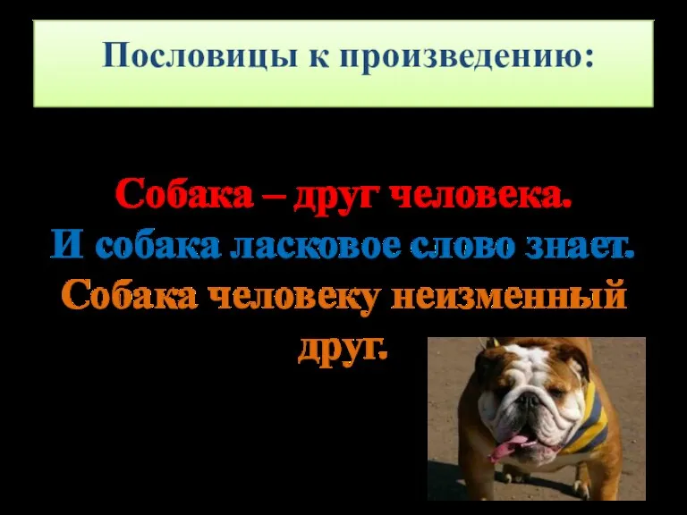 Пословицы к произведению: Собака – друг человека. И собака ласковое слово знает. Собака человеку неизменный друг.