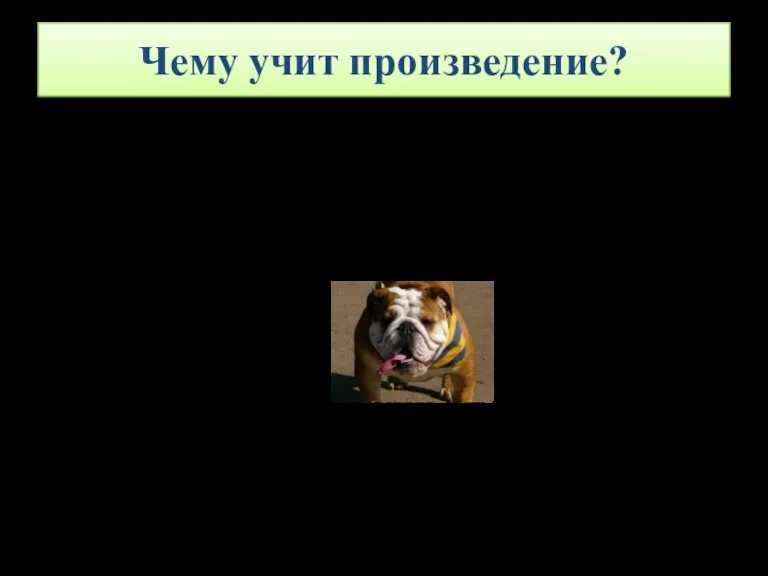 Чему учит произведение? Произведение учит любить, ценить и оберегать животных, ведь они