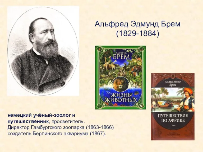 Альфред Эдмунд Брем (1829-1884) немецкий учёный-зоолог и путешественник, просветитель. Директор Гамбургского зоопарка