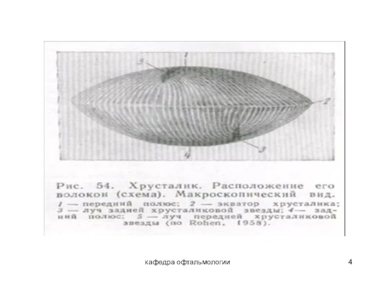 кафедра офтальмологии