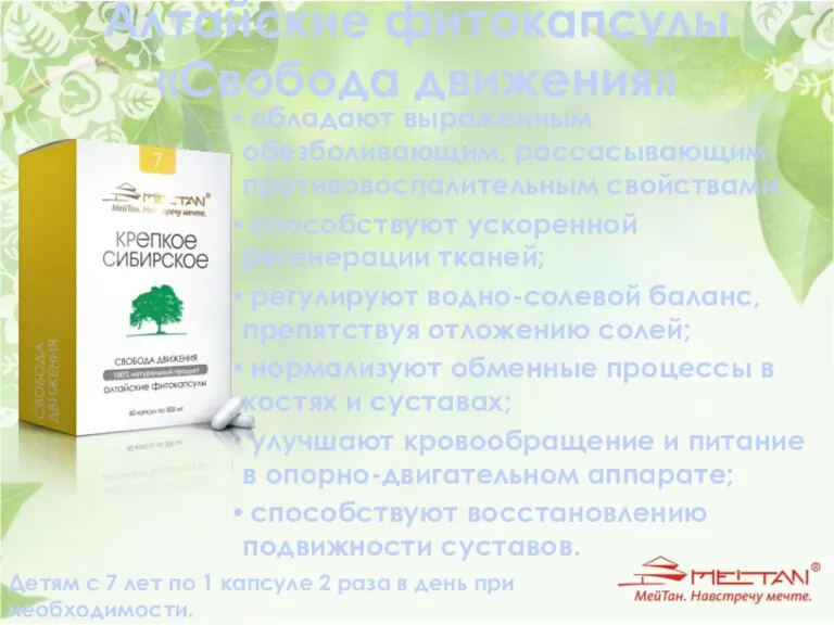 Алтайские фитокапсулы «Свобода движения» обладают выраженным обезболивающим, рассасывающим, противовоспалительным свойствами; способствуют ускоренной