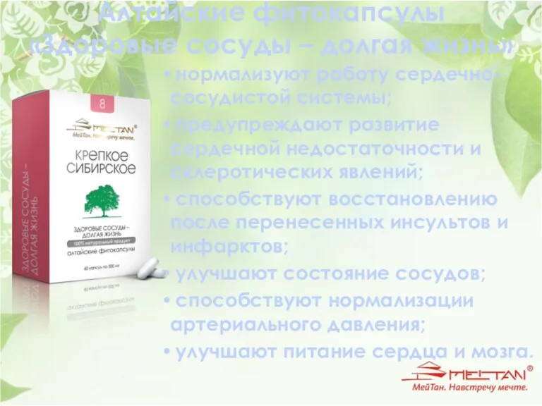 Алтайские фитокапсулы «Здоровые сосуды – долгая жизнь» нормализуют работу сердечно-сосудистой системы; предупреждают