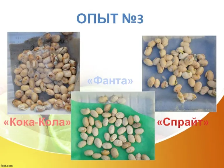 ОПЫТ №3 «Кока-Кола» «Фанта» «Спрайт»