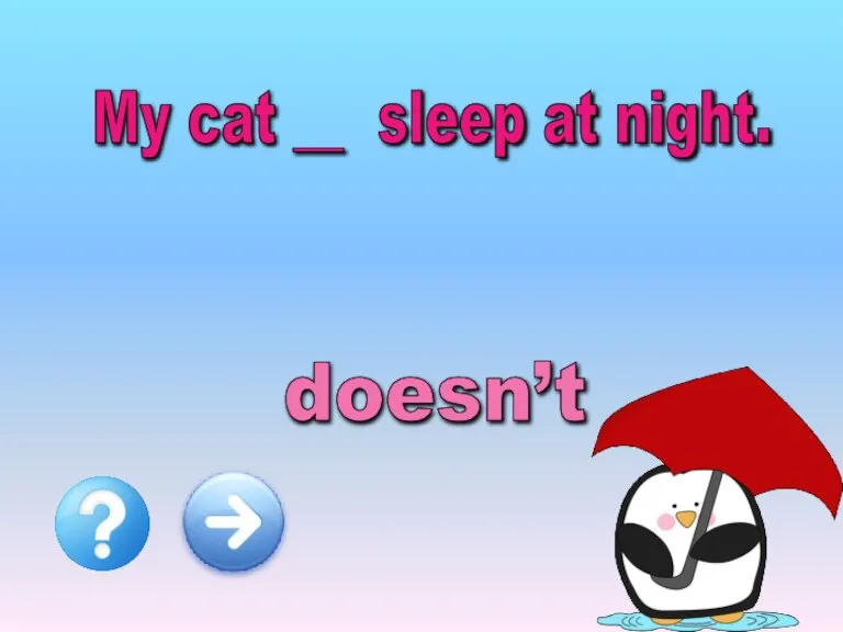 My cat __ sleep at night. doesn’t don’t