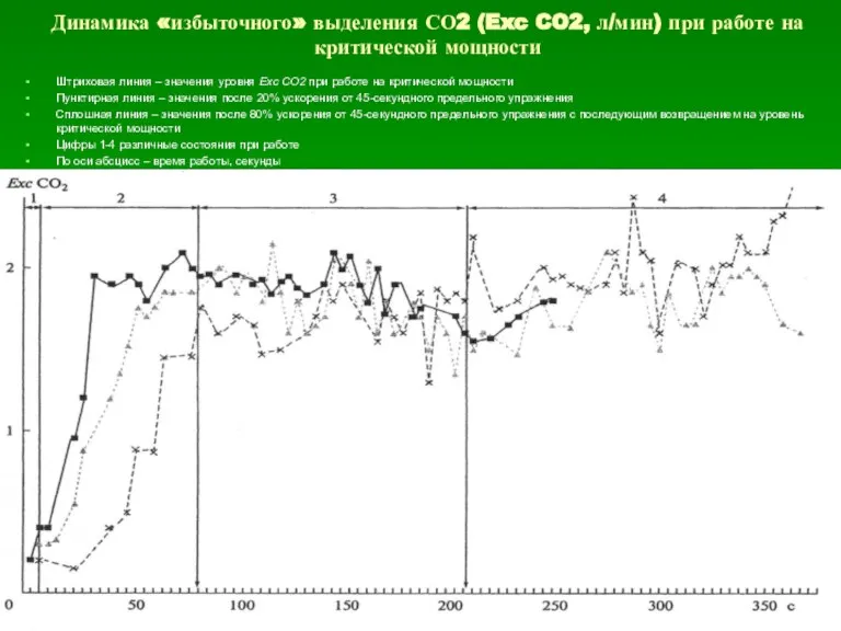Динамика «избыточного» выделения СО2 (Exc CO2, л/мин) при работе на критической мощности